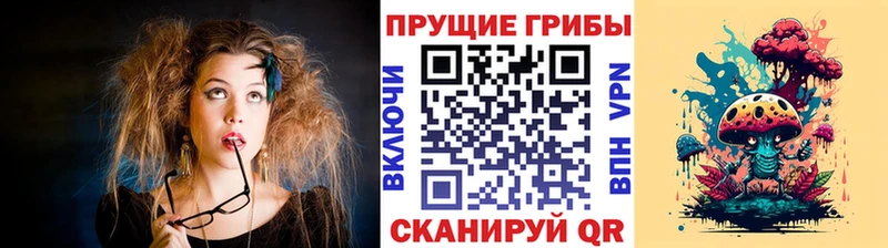 Галлюциногенные грибы Psilocybine cubensis  ОМГ ОМГ как зайти  Заречный 